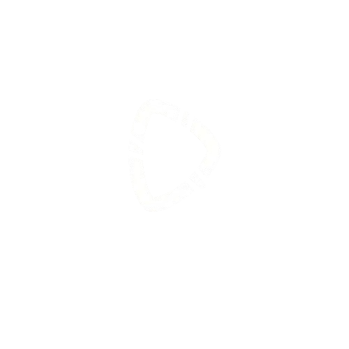 The Crypto Post Logo